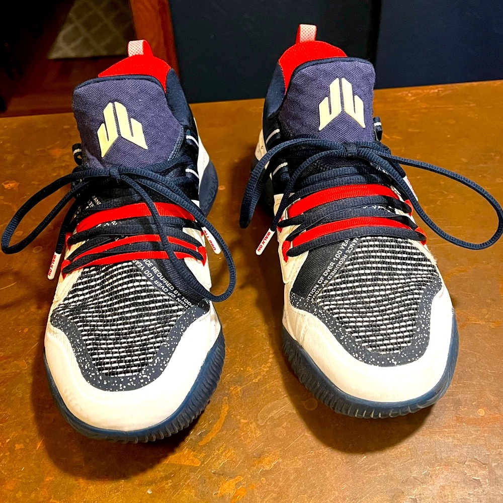 Reebok shoes - Red white and blue